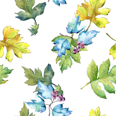 Suluboya alıç renkli yaprakları. Yaprak bitki botanik bahçe çiçek yaprakları. Sorunsuz arka plan deseni. Kumaş duvar kağıdı yazdırma doku. Aquarelle yaprak için arka plan, doku, sarıcı desen.