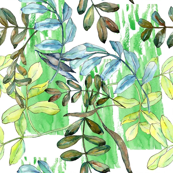 Watercolo 緑アカシアの葉 葉植物植物園花葉 シームレスな背景パターン 壁紙印刷手触りの生地 テクスチャ ラッパー パターン Aquarelle — ストック写真