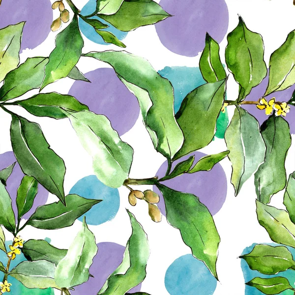 Акварель Elaeagnus Зеленые Листья Цветочная Листва Ботанического Сада Бесшовный Рисунок — стоковое фото