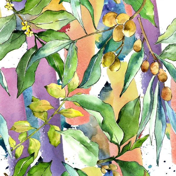 Akvarell Ezüstfa Zöld Levelek Leveles Növény Botanikus Kert Virágos Lombozat — Stock Fotó