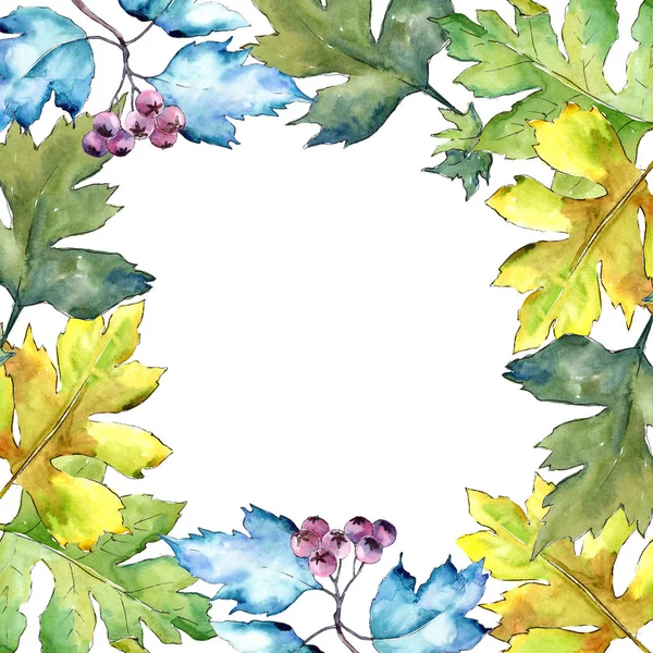 水彩山楂五颜六色的叶子 叶植物植物园花叶 框边框装饰广场 包装图案 框架或边框的水彩画叶 — 图库照片