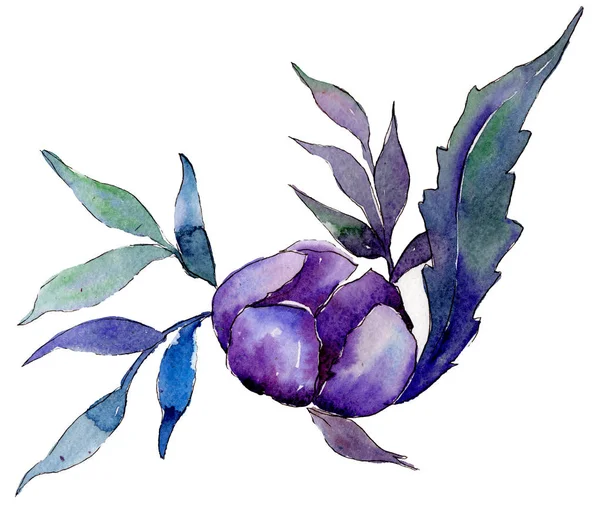 Akvarell Färgglad Bukett Blomma Blommig Botaniska Blomma Isolerade Illustration Element — Stockfoto