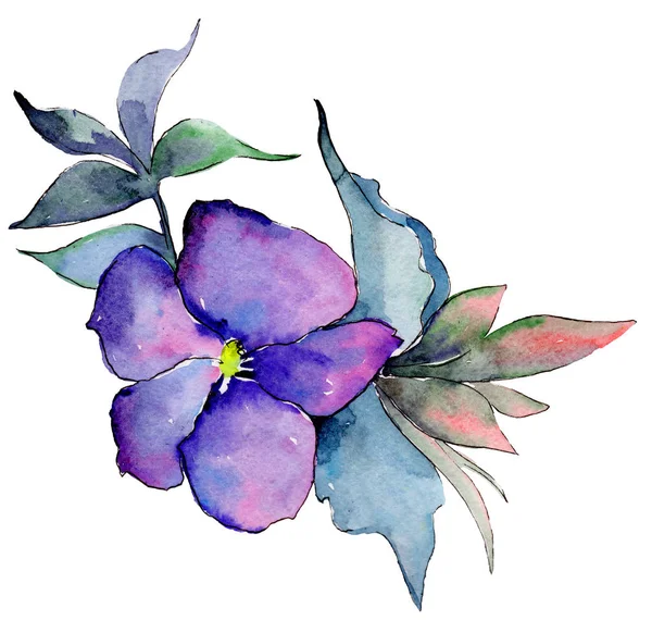 Akvarell Színes Csokor Virág Virágos Botanikai Virág Elszigetelt Ábra Elemet — Stock Fotó