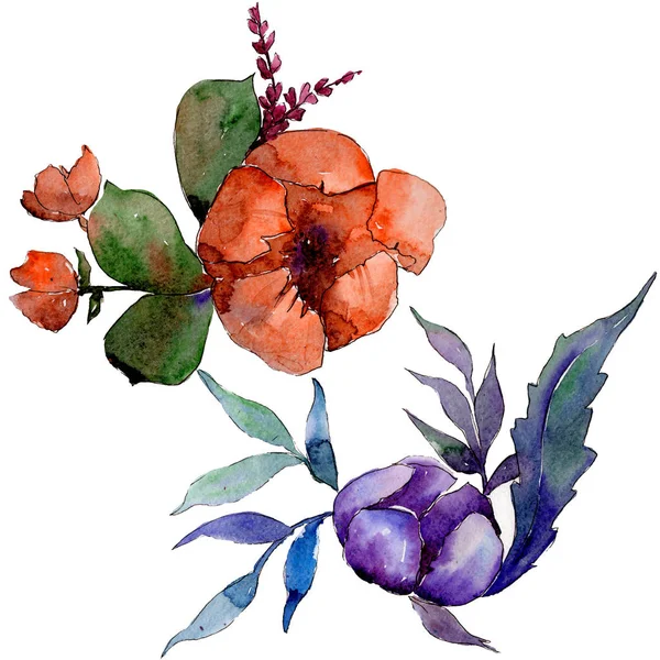 Flor Buquê Colorido Aquarela Floral Flor Botânica Isolado Elemento Ilustração — Fotografia de Stock