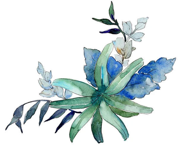 Aquarell Blaue Und Violette Blüten Blütenbotanische Blume Isoliertes Illustrationselement Aquarell — Stockfoto