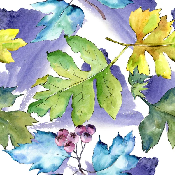 Kolorowe Liście Głogu Akwarela Liść Roślina Botaniczny Ogród Kwiatowy Liści — Zdjęcie stockowe
