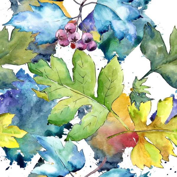 カラフルな水彩のサンザシを残します 葉植物植物園花葉 シームレスな背景パターン 壁紙印刷手触りの生地 テクスチャ ラッパー パターン Aquarelle — ストック写真