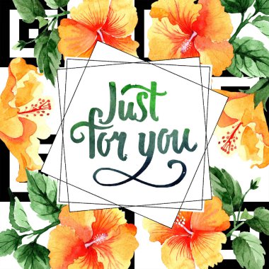 Sulu boya turuncu naranja hibiscus çiçek. Botanik çiçek. Çerçeve kenarlığı süsleme Meydanı. Arka plan, doku, sarıcı desen, çerçeve veya kenarlık için Aquarelle kır çiçeği.