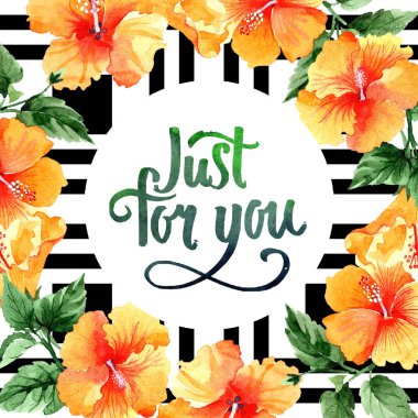 Sulu boya turuncu naranja hibiscus çiçek. Botanik çiçek. Çerçeve kenarlığı süsleme Meydanı. Arka plan, doku, sarıcı desen, çerçeve veya kenarlık için Aquarelle kır çiçeği.