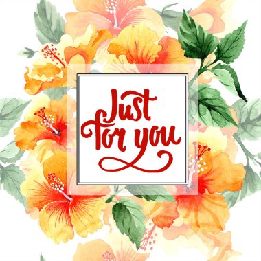 Sulu boya turuncu naranja hibiscus çiçek. Botanik çiçek. Çerçeve kenarlığı süsleme Meydanı. Arka plan, doku, sarıcı desen, çerçeve veya kenarlık için Aquarelle kır çiçeği.