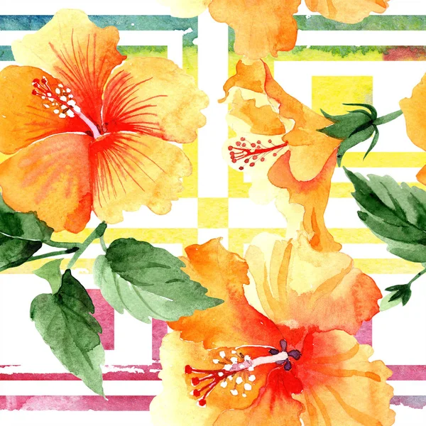 水彩橙 Naranja 芙蓉花 花卉植物花 无缝的背景图案 织物墙纸打印纹理 水彩画野花为背景 包装图案 — 图库照片