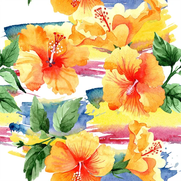 Watercolor Orange Naranja Hibiscus Flowers Floral Botanical Flower Seamless Background — Stock Photo, Image