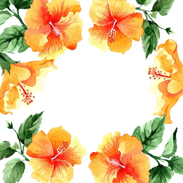 Ακουαρέλα Πορτοκαλί Naranja Hibiscus Λουλούδια Floral Βοτανικό Λουλούδι Πλατεία Στολίδι — Φωτογραφία Αρχείου