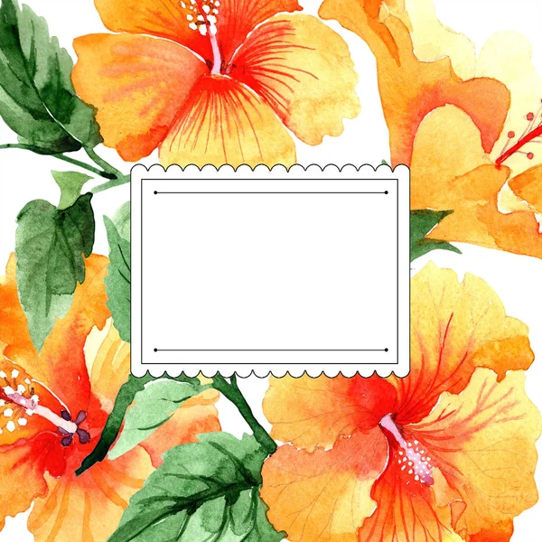 Aquarelle Orange Naranja Hibiscus Fleurs Fleur Botanique Florale Cadre Bordure — Photo