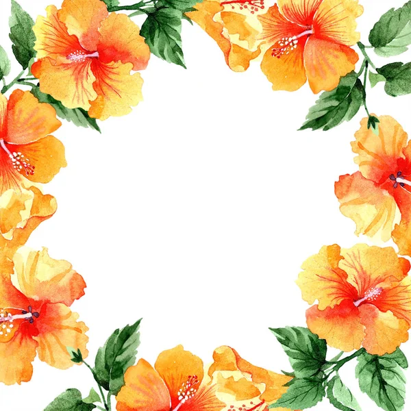 Ακουαρέλα Πορτοκαλί Naranja Hibiscus Λουλούδια Floral Βοτανικό Λουλούδι Πλατεία Στολίδι — Φωτογραφία Αρχείου