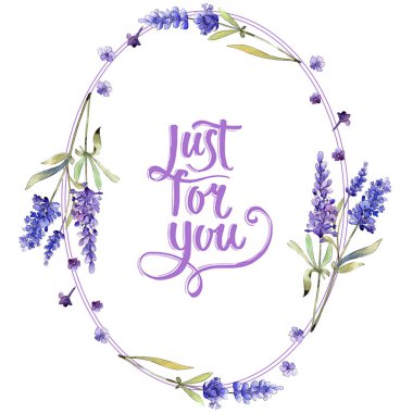 Suluboya mor lavanta çiçekleri. Botanik çiçek. Çerçeve kenarlığı süsleme Meydanı. Arka plan, doku, sarıcı desen, çerçeve veya kenarlık için Aquarelle kır çiçeği.