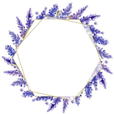 Suluboya mor lavanta çiçekleri. Botanik çiçek. Çerçeve kenarlığı süsleme Meydanı. Arka plan, doku, sarıcı desen, çerçeve veya kenarlık için Aquarelle kır çiçeği.