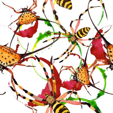 Egzotik örümcekler vahşi böcek suluboya tarzında. Sorunsuz arka plan deseni. Kumaş duvar kağıdı yazdırma doku. Aquarelle vahşi böcek arka plan, doku, sarıcı desen veya dövme için.