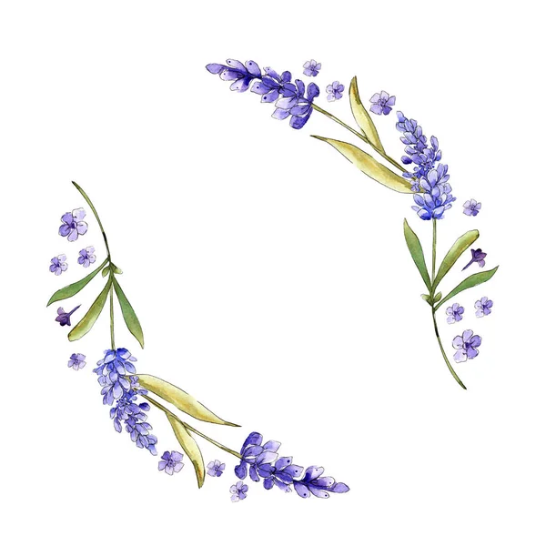 Watercolor purple lavender flowers. Floral botanical flower. Frame border ornament square. Aquarelle wildflower for background, texture, wrapper pattern, frame or border.
