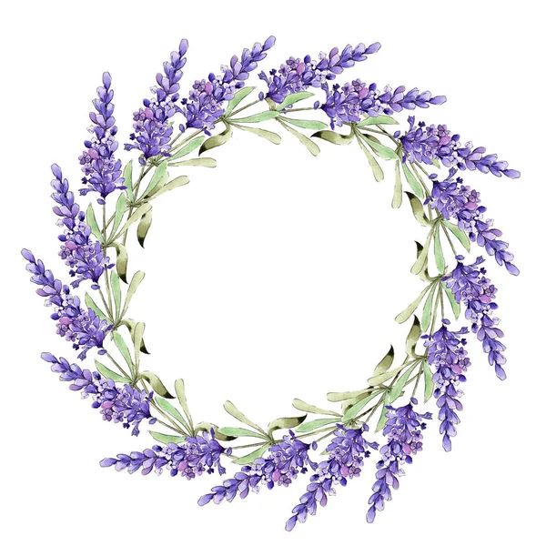 Suluboya mor lavanta çiçekleri. Botanik çiçek. Çerçeve kenarlığı süsleme Meydanı. Arka plan, doku, sarıcı desen, çerçeve veya kenarlık için Aquarelle kır çiçeği.