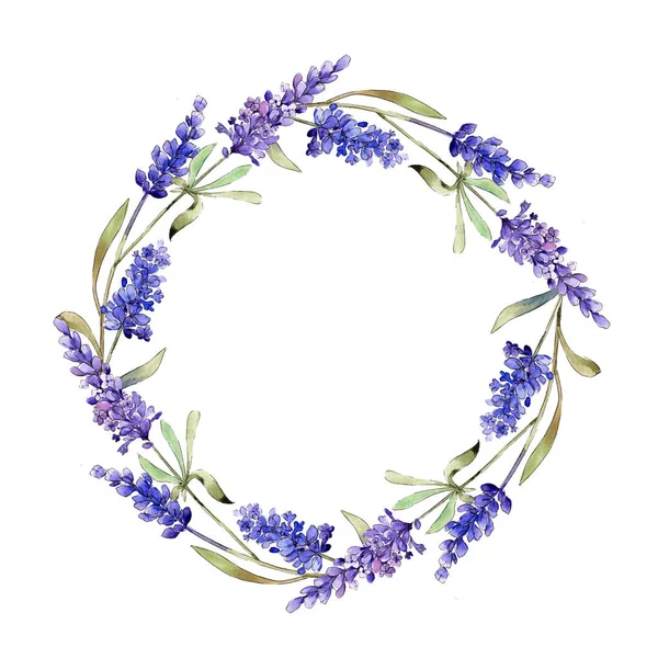 Watercolor purple lavender flowers. Floral botanical flower. Frame border ornament square. Aquarelle wildflower for background, texture, wrapper pattern, frame or border.