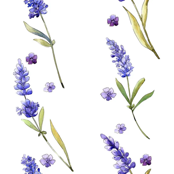 Suluboya mor lavanta çiçekleri. Botanik çiçek. Sorunsuz arka plan deseni. Kumaş duvar kağıdı yazdırma doku. Arka plan, doku, sarıcı desen Aquarelle kır çiçeği.