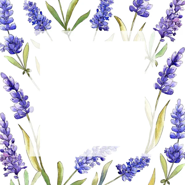 Acquerello Viola Fiori Lavanda Fiore Botanico Floreale Quadrato Ornamento Bordo — Foto Stock