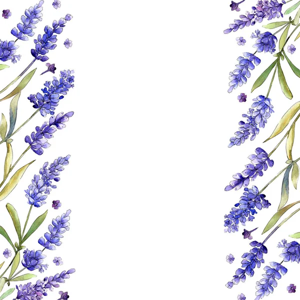 Aquarela Flores Lavanda Roxas Floral Flor Botânica Quadro Borda Ornamento — Fotografia de Stock