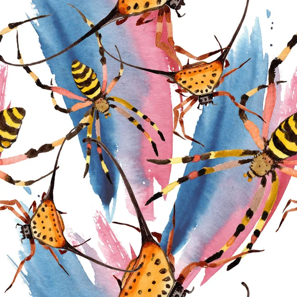 Araignées Exotiques Insecte Sauvage Dans Style Aquarelle Modèle Fond Sans — Photo