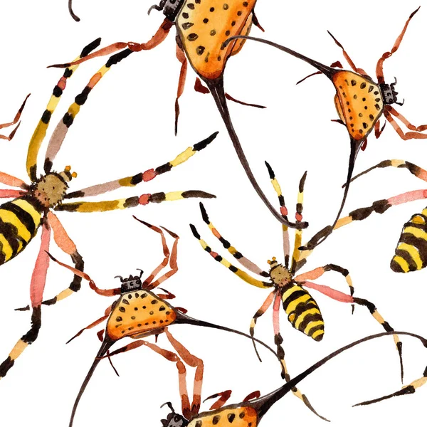 Exotic spiders wild insect in a watercolor style. Seamless background pattern. Fabric wallpaper print texture. Aquarelle wild insect for background, texture, wrapper pattern or tattoo.