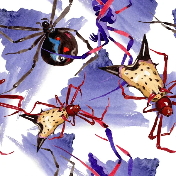 Araignées Exotiques Insecte Sauvage Dans Style Aquarelle Modèle Fond Sans — Photo