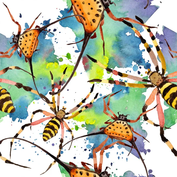 Araignées Exotiques Insecte Sauvage Dans Style Aquarelle Modèle Fond Sans — Photo