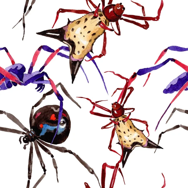 Araignées Exotiques Insecte Sauvage Dans Style Aquarelle Modèle Fond Sans — Photo