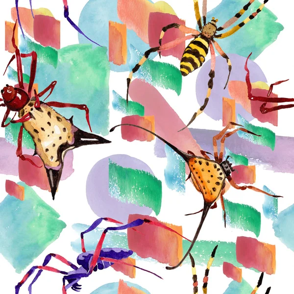 Araignées Exotiques Insecte Sauvage Dans Style Aquarelle Modèle Fond Sans — Photo