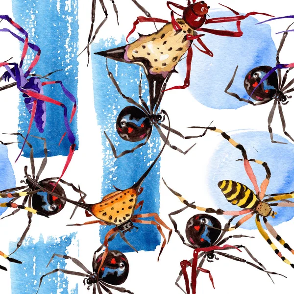 Araignées Exotiques Insecte Sauvage Dans Style Aquarelle Modèle Fond Sans — Photo