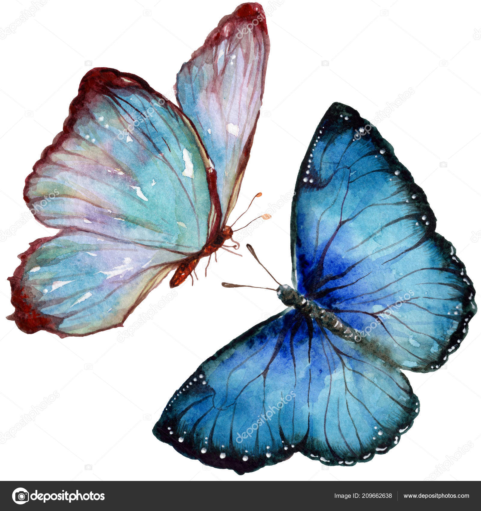 TITLE图库插图© 作者MyStocks #209662638