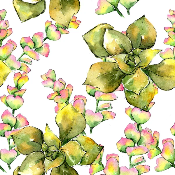 Exotic tropical plant hawaiian summer. Plant beach tree leaves jungle botanical succulent. Seamless background pattern. Aquarelle wild flower for background, texture, wrapper pattern, frame or border.