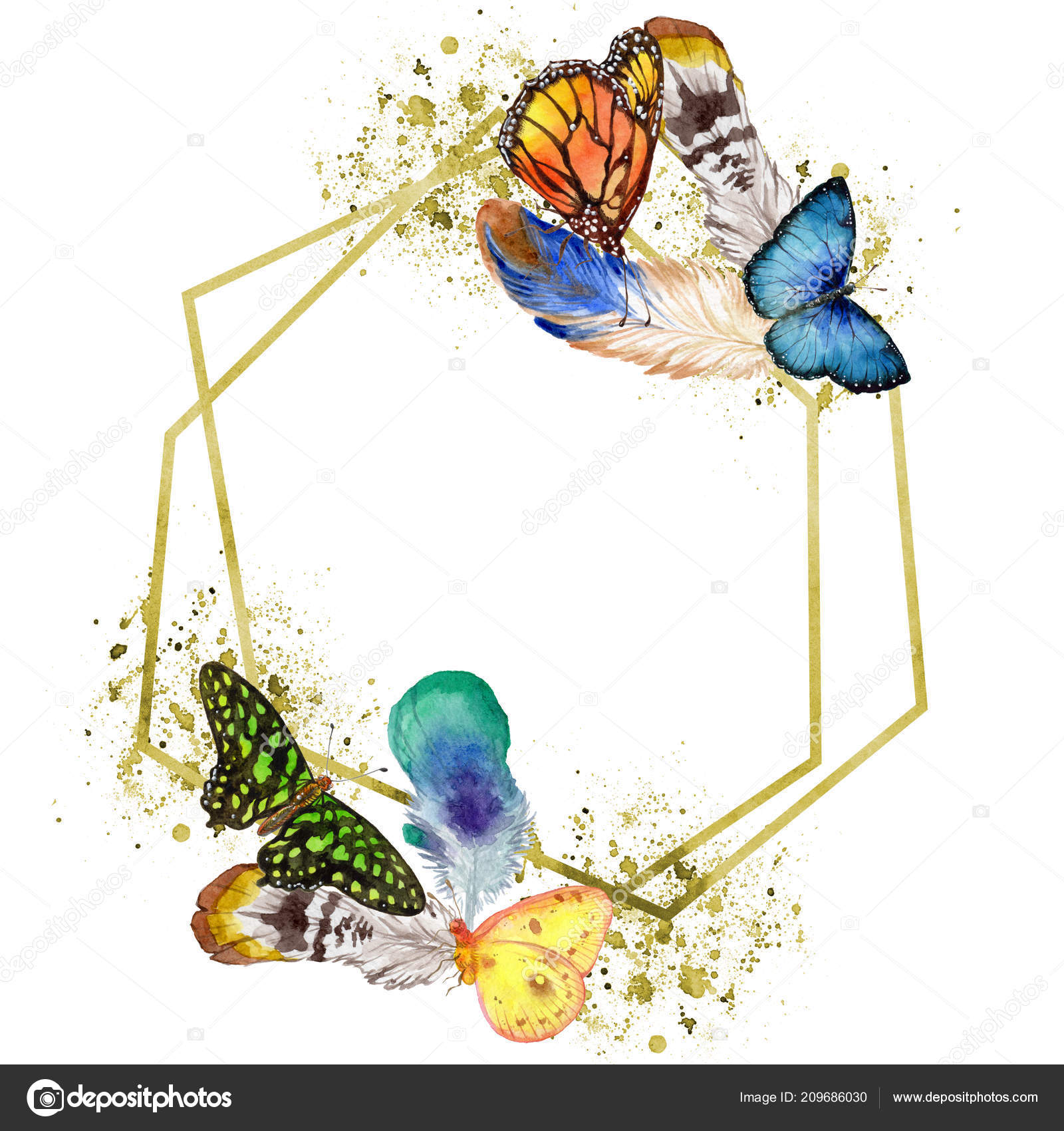 수채화 스타일에 이국적인 곤충입니다 프레임 테두리 스퀘어입니다 곤충의 문신에 스톡 일러스트레이션 [© AUTHOR_NAME]  #209686030, image size:1600x1700