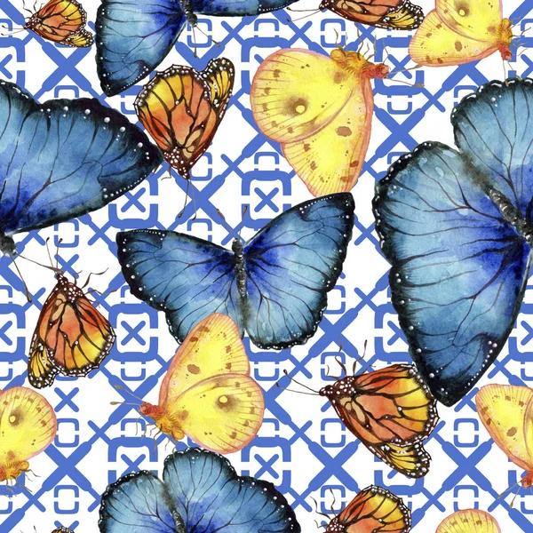 Papillons Exotiques Insectes Sauvages Dans Style Aquarelle Modèle Fond Sans — Photo