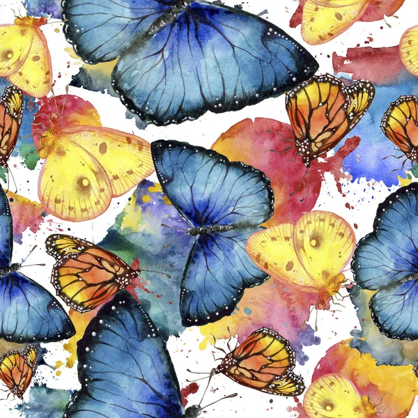 Egzotyczne Motyle Dziki Owadów Stylu Przypominającym Akwarele Bezszwowe Tło Wzór — Zdjęcie stockowe