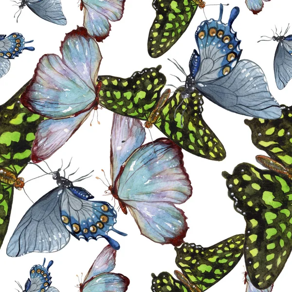 Mariposas Exóticas Insectos Salvajes Estilo Acuarela Patrón Fondo Sin Costuras —  Fotos de Stock