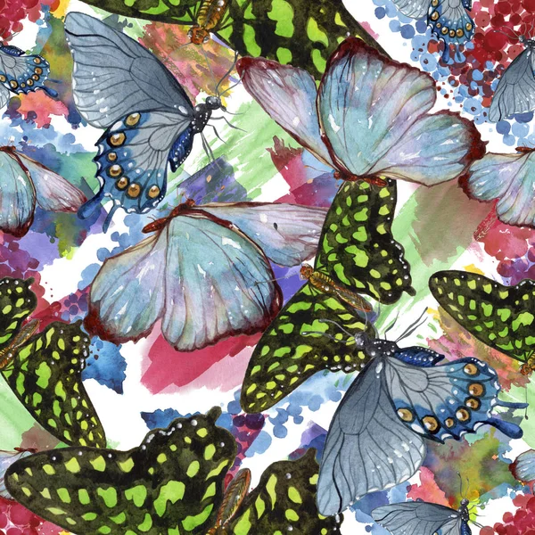 Eksotiske Sommerfugler Ville Insekter Akvarellform Sømløs Bakgrunn Tekstur Med Tekstur – stockfoto