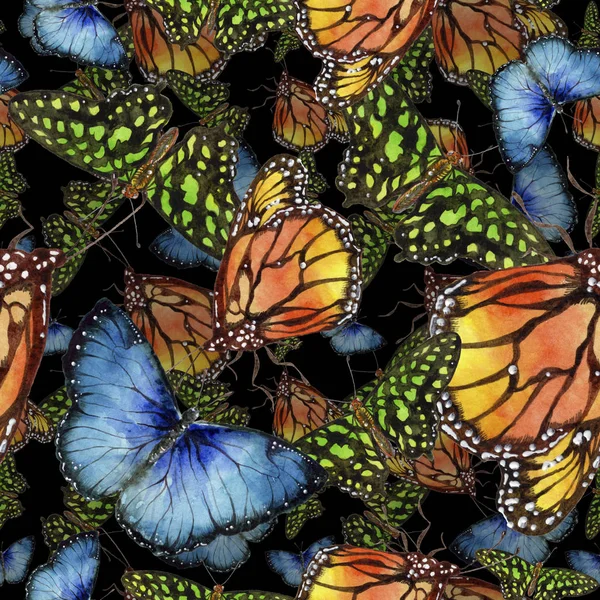 Farfalle Esotiche Insetto Selvatico Stile Acquerello Modello Sfondo Senza Soluzione — Foto Stock