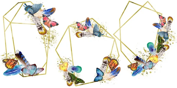 Exotic Butterflies Wild Insect Watercolor Style Frame Border Ornament Square — Stock Photo, Image