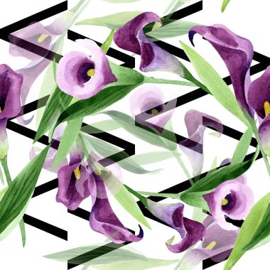 Suluboya mor callas çiçek. Botanik çiçek. Sorunsuz arka plan deseni.