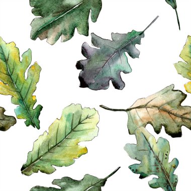 Sonbahar yeşil meşe yaprağı. Yaprak bitki botanik bahçe çiçek yaprakları. Sorunsuz arka plan deseni.