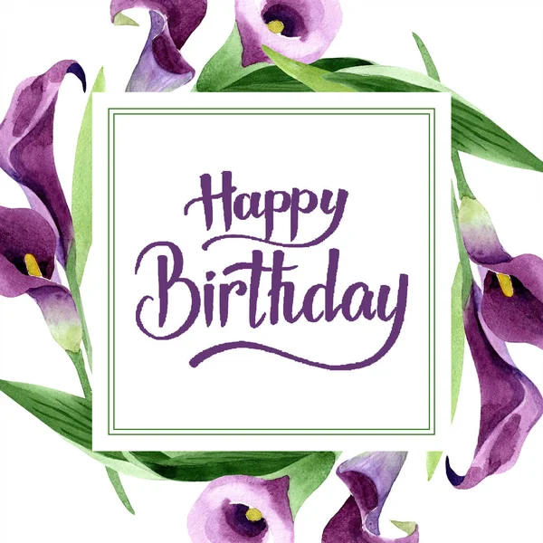 Suluboya mor callas çiçek. Botanik çiçek. Çerçeve kenarlığı süsleme Meydanı.