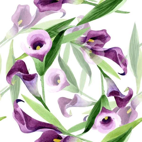 Watercolor purple callas flower. Floral botanical flower. Seamless background pattern.