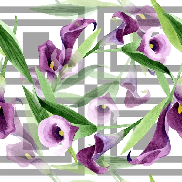 Acuarela flor de calas púrpura. Flor botánica floral. Patrón de fondo sin costuras . — Foto de Stock