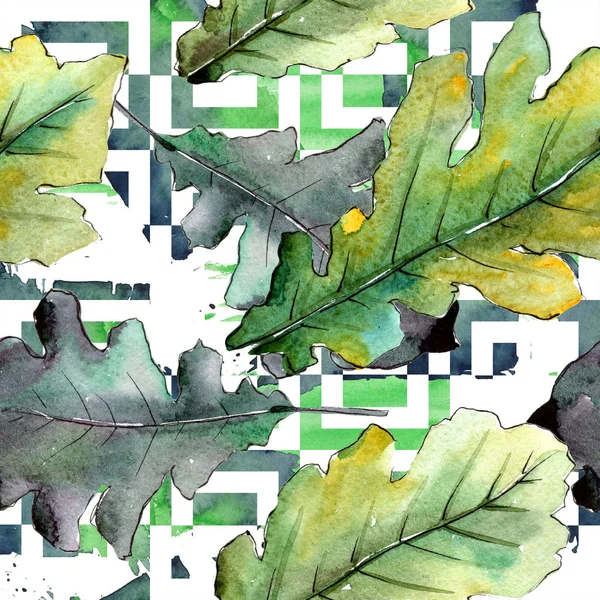 가 녹색 오크 겹 판 식물 잎 식물원 꽃 단풍입니다. 원활한 배경 패턴. — 스톡 사진